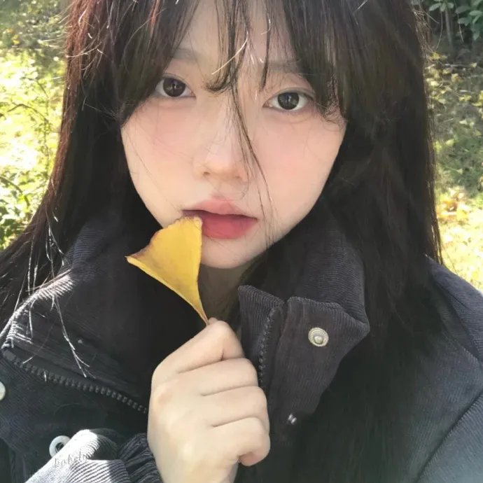姆明山谷 第二季